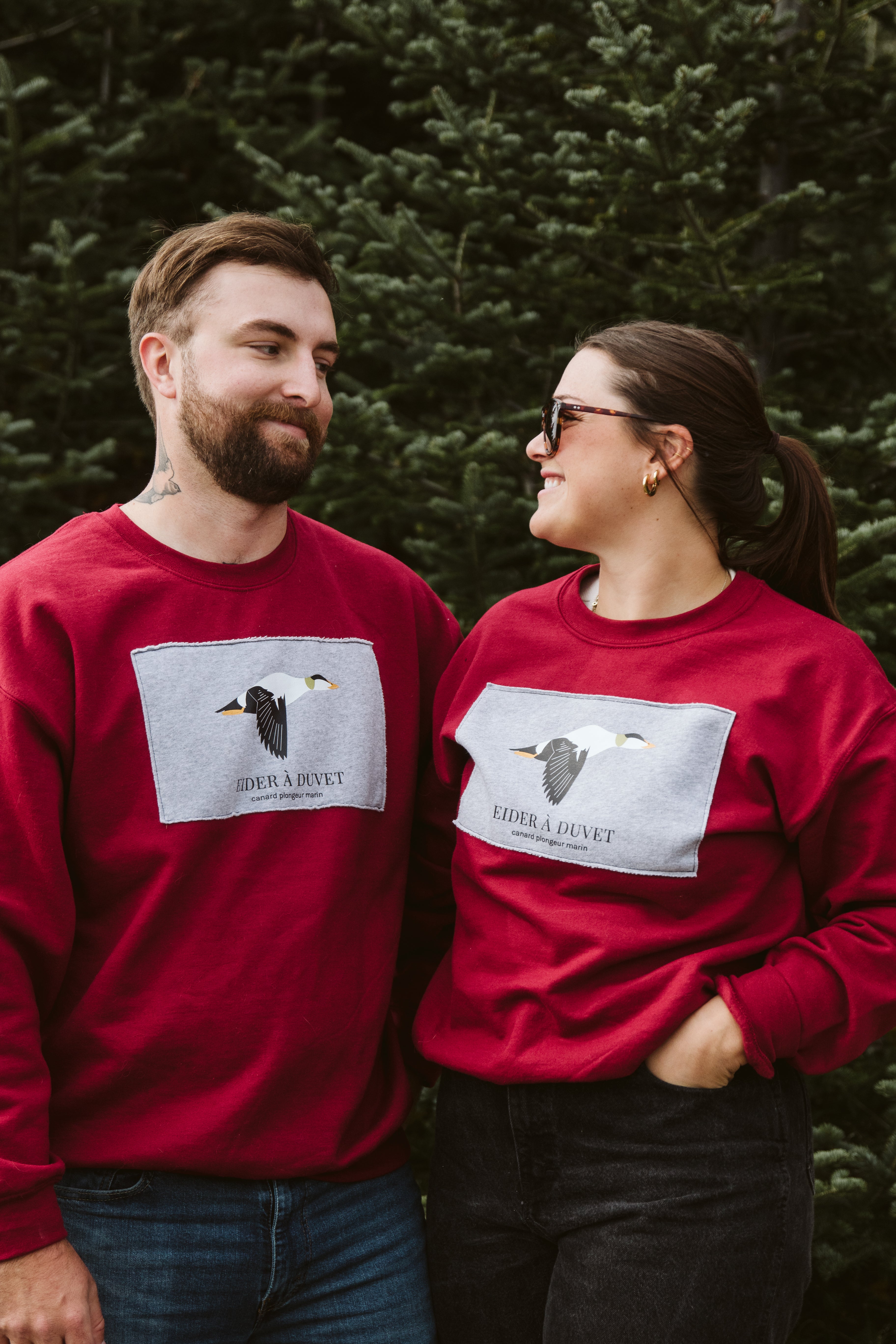 Chandail ~ Eider à duvet