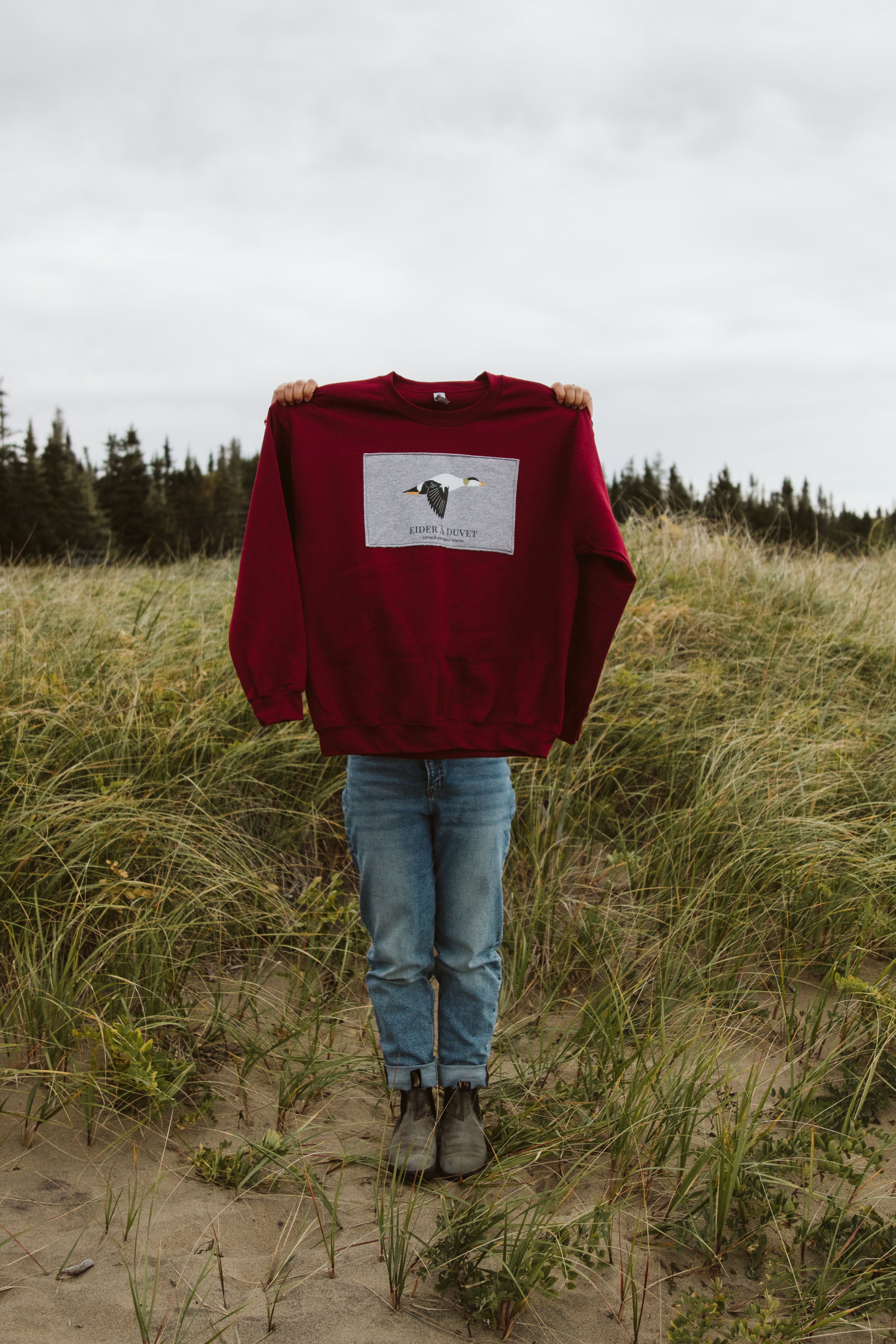 Chandail ~ Eider à duvet