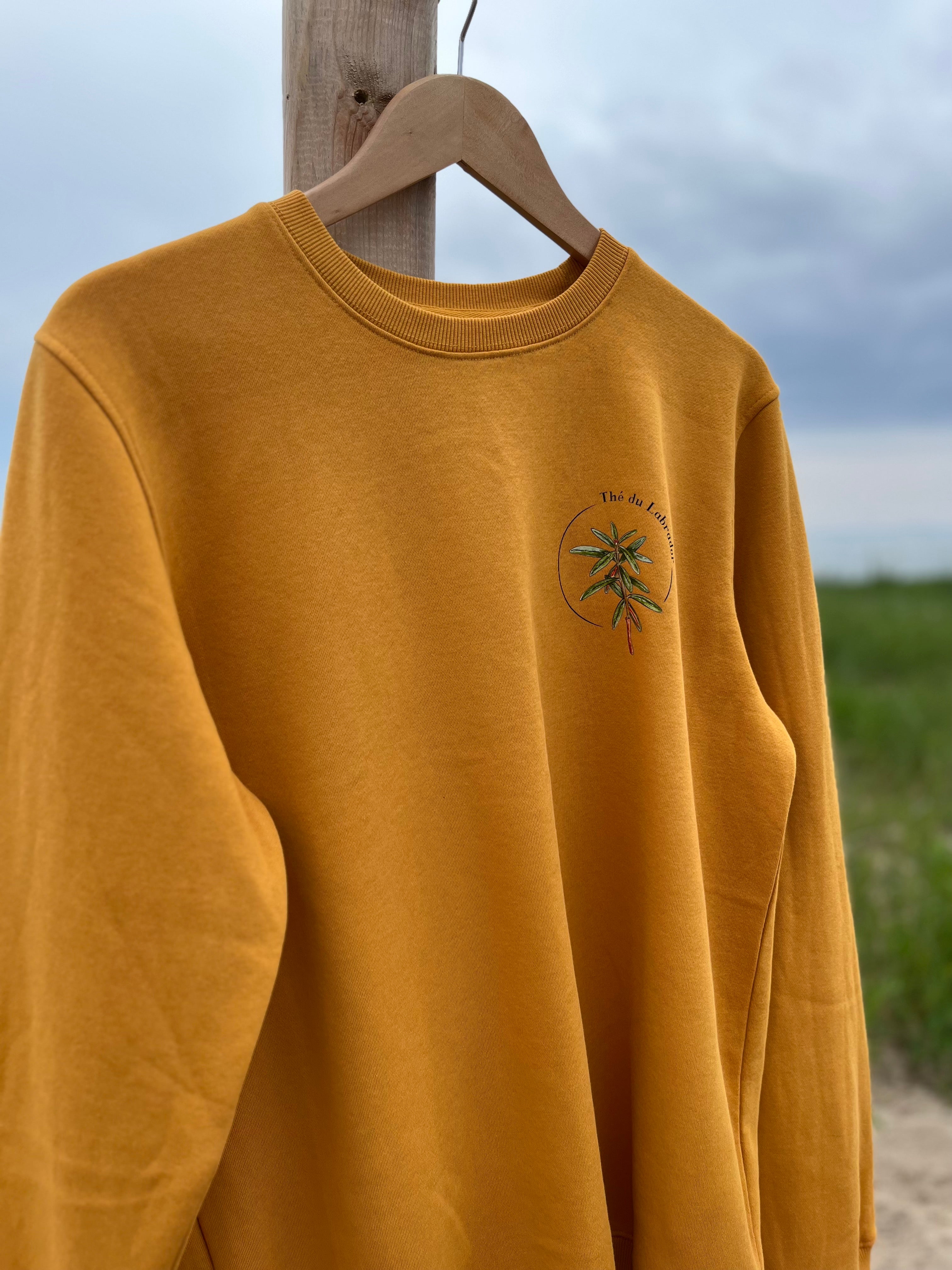 Chandail ~ Thé du Labrador