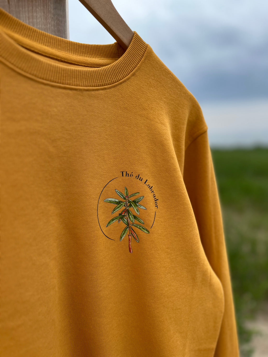 Chandail ~ Thé du Labrador