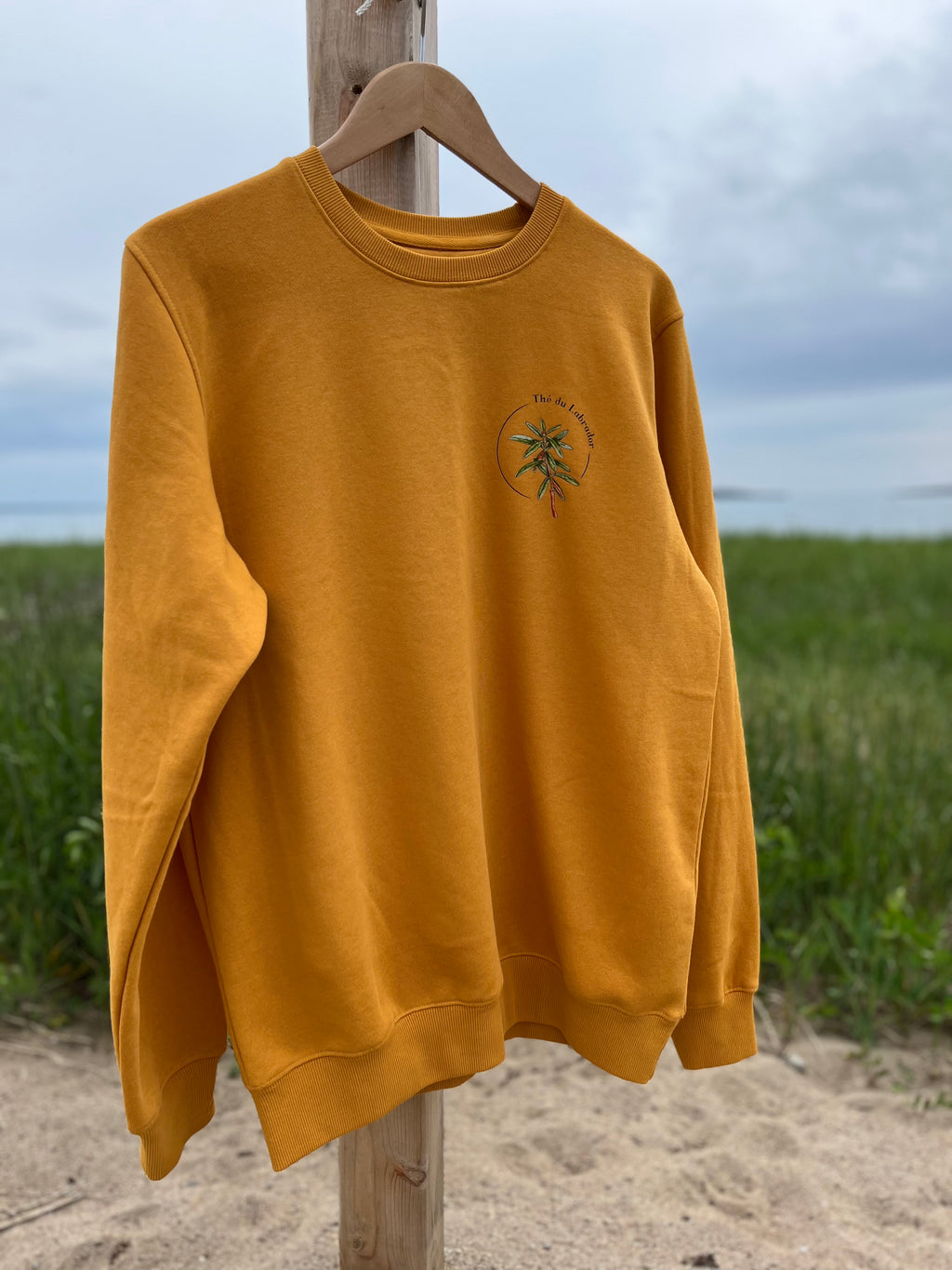 Chandail ~ Thé du Labrador